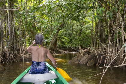 France, French Guiana, Kourou, Maripas camp in the rainforest, canoe trip to discover a crique (creek), a small river, tributary of the Kourou River