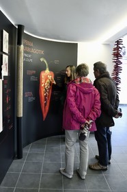 France, Pyrénées-Atlantiques (64), Pays-Basque, Espelette, centre d'interprétation du piment d'Espelette, coupe d'un piment