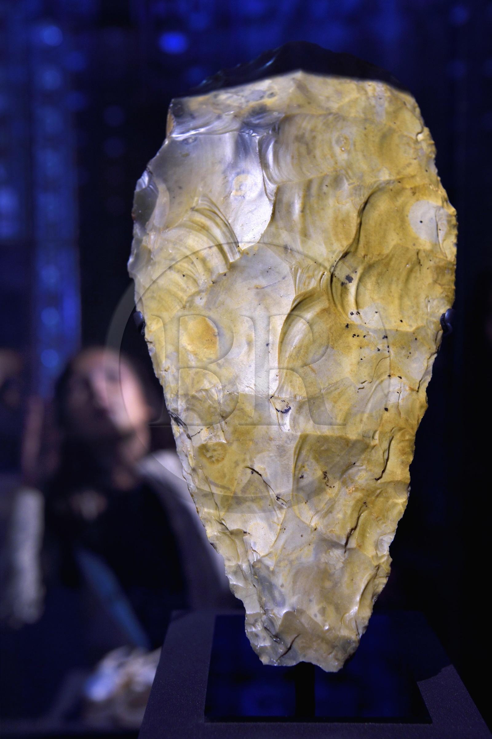 Royaume-Uni, Londres, Kensington, musée d’histoire naturelle (Natural History Museum), Hache de Furze Platt, silex de la plus grande hache trouvée en Europe