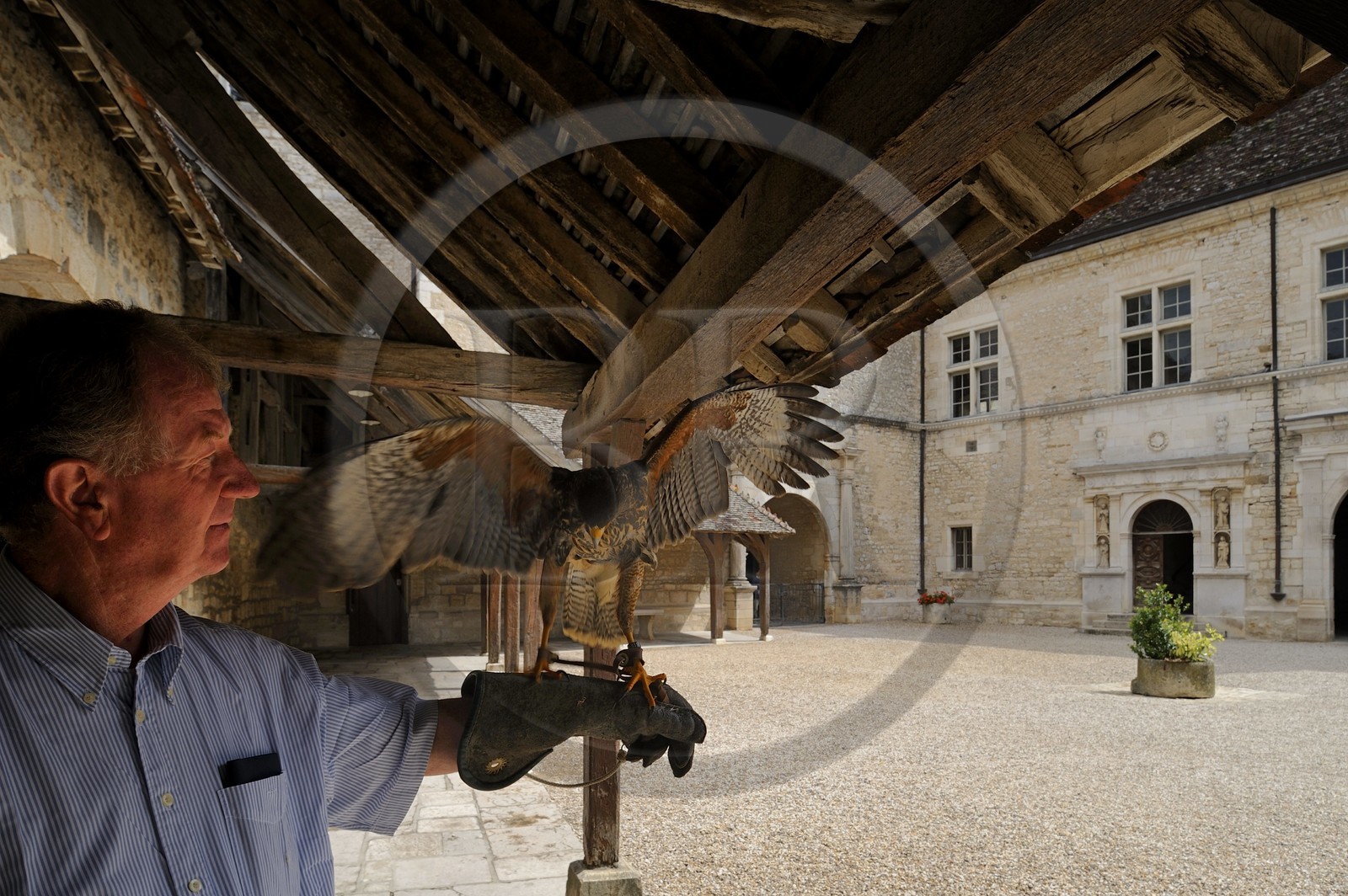 France, Côte-d'Or (21), le Château du Clos-de-Vougeot (vignoble des Côtes de Nuit), la cour