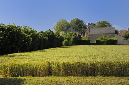 France, Indre et Loire, Loire Valley listed as World Heritage by UNESCO, Seuilly, La Deviniere, Francois Rabelais's house