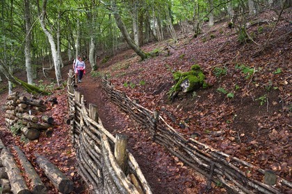 France, Puy de Dome, Aydat, on the slopes of the Puy de Vichatel volcano, Parc Naturel Régional des Volcans d'Auvergne (regional nature park of Auvergne volcanoes) on the  the Vichatel Musette nature trail, facilities (gabion) created by the park for hikers