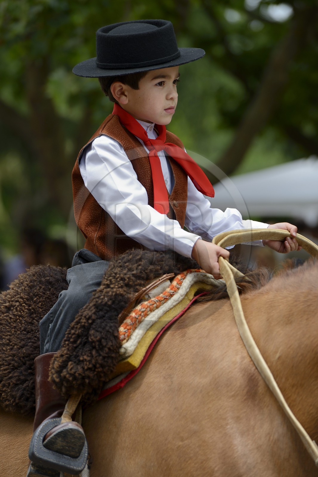 Argentina, Buenos Aires Province, San Antonio de Areco, Tradition Day festival (Dia de Tradition), very young gaucho on horseback in traditional dress during the parade
