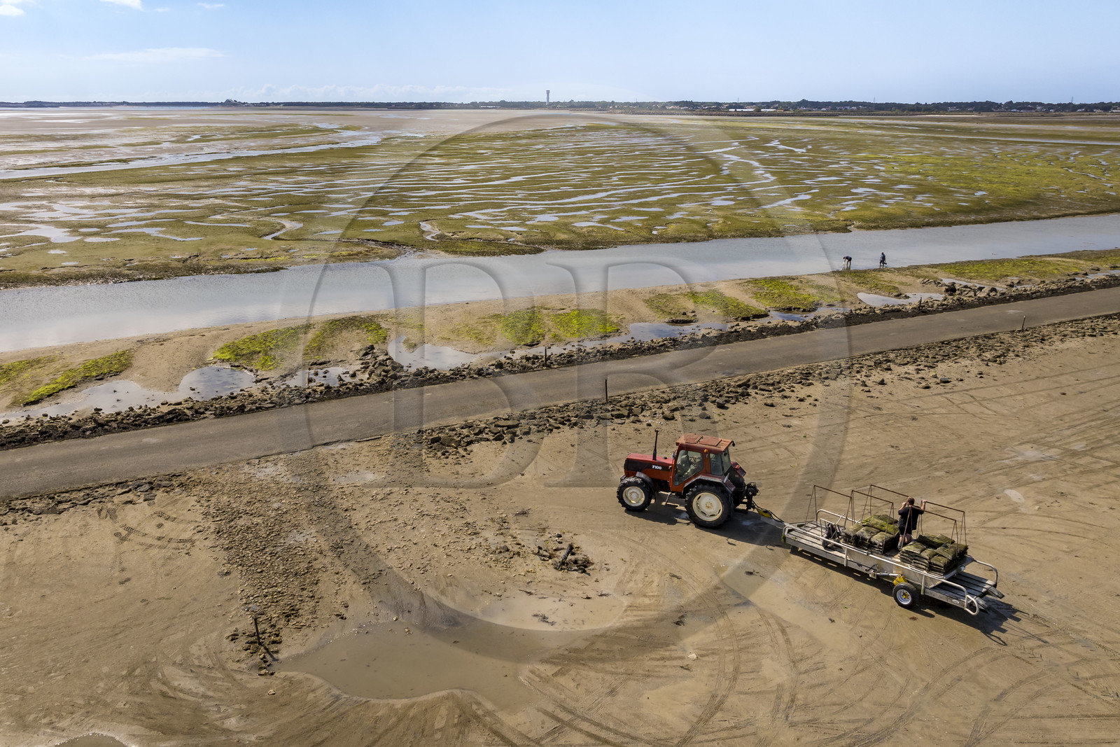 France, Vendée (85), île de Noirmoutier, Barbatre, tracteur ostréicole sur l'estran en bordure du passage du Gois, chaussée submersible qui relie l'île au continent à marrée basse (vue aérienne)