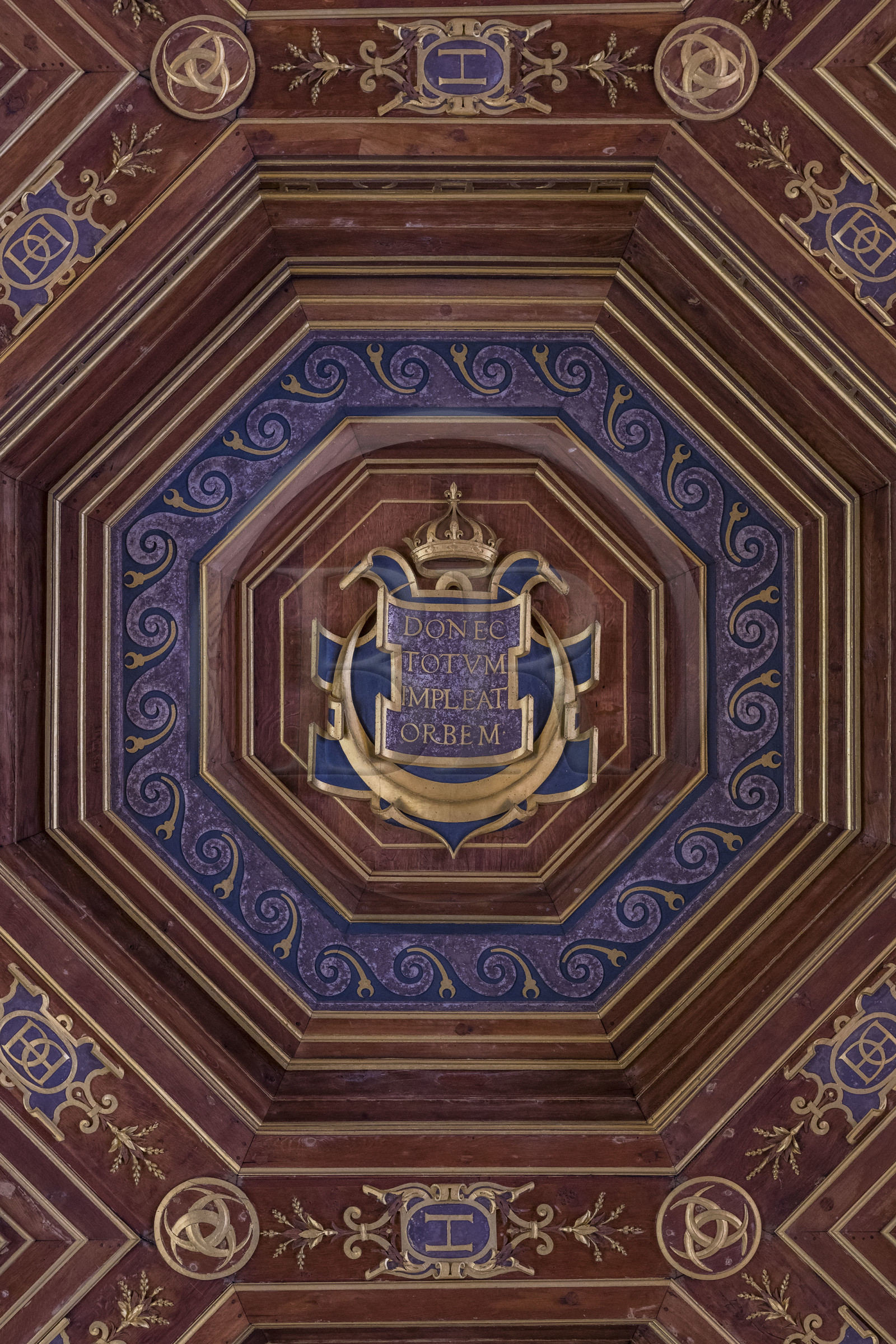 France, Seine-et-Marne (77), Fontainebleau, chateau de Fontainebleau, classé Patrimoine Mondial par l'UNESCO, la salle de bal, détail du plafond à caissons décoré d'or et d'argent