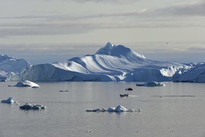 Groenland, cote ouest, baie de Disko, Ilulissat, hors-bord traversant le site du fjord glacé classé Patrimoine Mondial de l'UNESCO