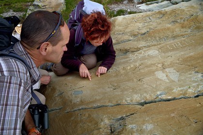France, Alpes-Maritimes, parc national du Mercantour (Mercantour National Park), the Vallee des Merveilles (Valley of Wonders) scattered with thousands of rupestral engravings of the Bronze Age, Pas de l'Arpette (Arpette pass), the engraving called the zigzag arm Anthropomorphous, a checkerboard-like figure that could symbolize cultivated fields right, two daggers and fine linear incisions that the archaeologist Nicoletta Bianchi studies