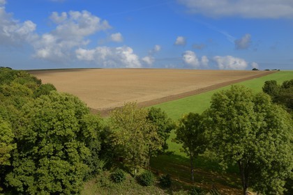France, Moselle (57), la campagne lorraine à Manderen, frontalière avec la Sarre allemande et à quelques kilomètres du Luxembourg, la frontière est en haut de la colline