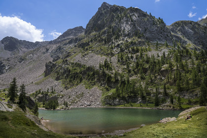 France, Alpes-Maritimes, Parc National du Mercantour (Mercantour national park), Haute Vesubie, Saint Martin Vesubie, Val du Haut Boréon, Trecolpas lake (2150m)