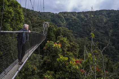 Rwanda, Province de l’Ouest, Colline Ibanda à Uwinka, Parc national de Nyungwe, la Canopy walkway passerelle suspendue qui surplombe la canopée de la forêt tropicale à 70 mètres de haut