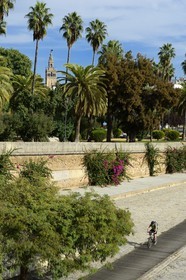 Espagne, Andalousie, Séville, en bordure du fleuve Guadalquivir, le paseo de Christobal Colon (Christophe Colomb) et la Giralda en arrière plan