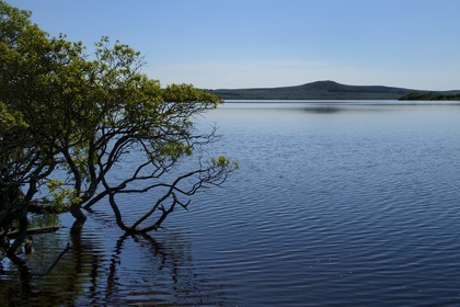 France, Finistere, Parc Naturel Regional d'Armorique (Armorica Regional Natural Park), Monts d'Arree, Brasparts, the Saint-Michel reservoir and  the Saint Michel chapel at the top of Menez Mikael in the background