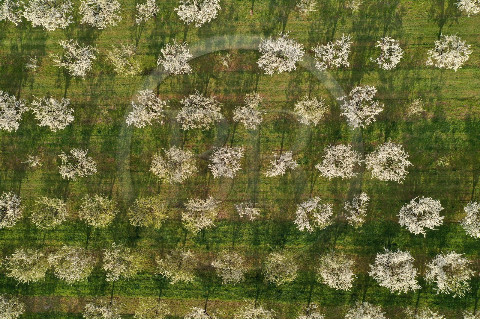 France, Meuse (55), Parc r