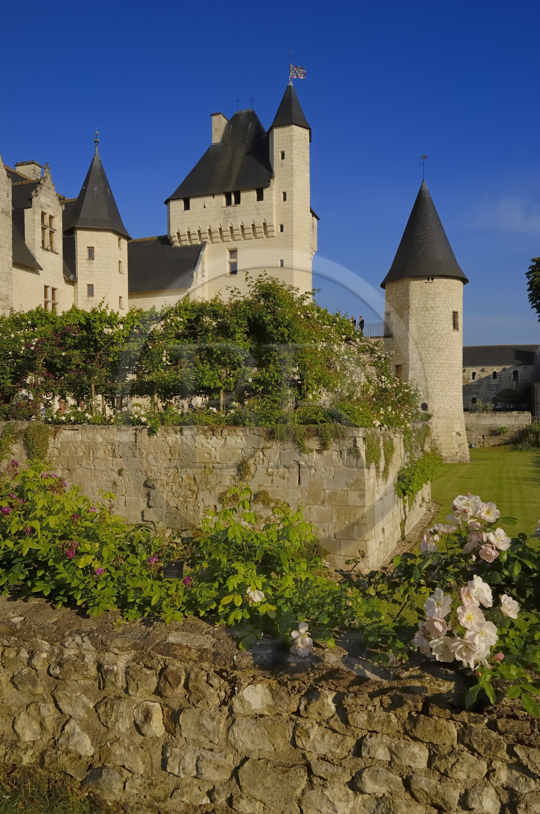 France, Indre et Loire (37), château du Rivau