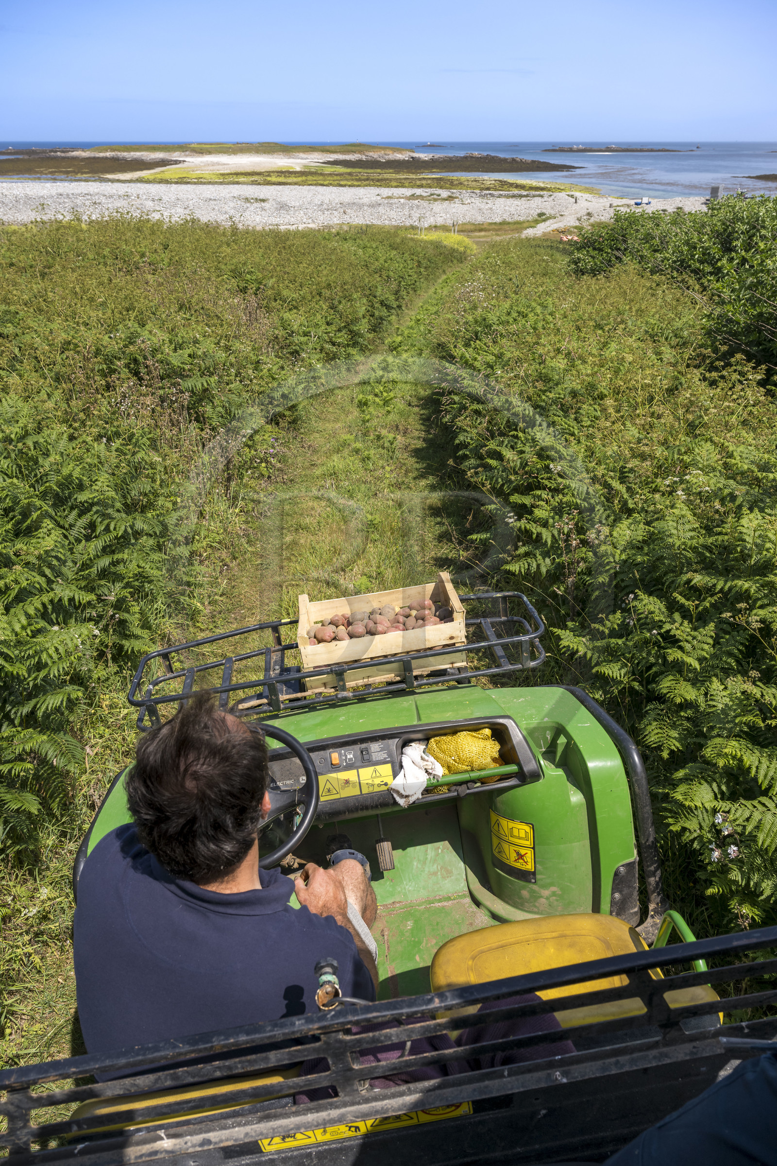 France, Finistère (29), Mer d'Iroise, archipel de Molène, Ile de Quéménès, ferme de Quéménès bio et autonome en énergie, l'agriculteur Etienne Menguy