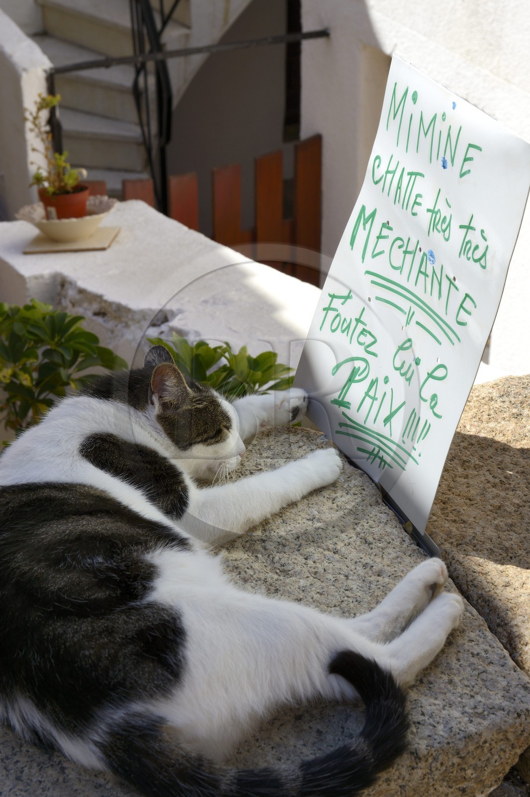 France, Corse-du-Sud (2A), Cargèse