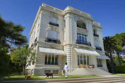 France, Alpes Maritimes, Cannes, the Villa La Californie where Picasso lived, today renamed the Pavillon de Flore by Marina Picasso, Marina Picasso granddaughter of Picasso with her dogs