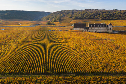 France, Côte-d'Or (21), Paysage culturel des climats de Bourgogne classés Patrimoine Mondial de l'UNESCO, Vougeot, Route des Grands Crus, le vignoble et le chateau du Clos de Vougeot (vue aérienne)