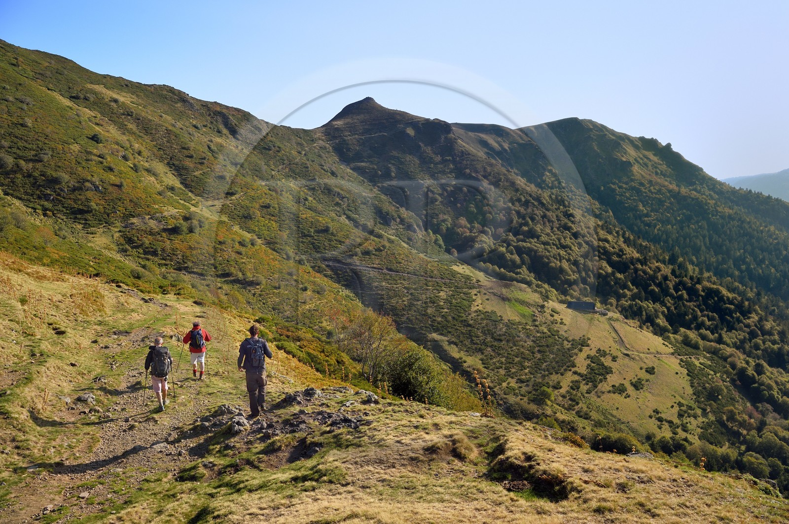 France, Cantal (15), Parc Naturel Régional des Volcans d'Auvergne, Le Lioran, randonneurs venant du col de Rombière sur le chemin de Saint-Jacques de Compostelle par la Via Arverna, le sommet du Téton de Venus au centre et le Rocher du Bec de l'Aigle à droite en arrière plan, le refuge du Buron de Meije Costes dominant la vallée de l'Alagnon