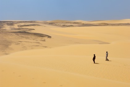 Egypte, Haute-Egypte, désert libyque, paysage désertique vers  Umm el-Dabadib au nord-est de Kharga