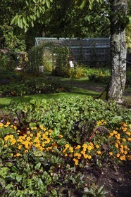 France, Haut Rhin, Husseren Wesserling, Wesserling Textile Museum Park, organic vegetable garden mixing vegetables and flowers