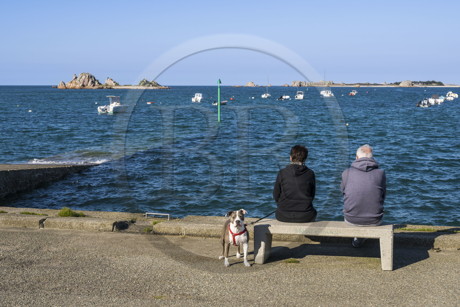 France, Cotes-d'Armor, Cote d'Ajoncs, Penvénan, the small port of Buguélès