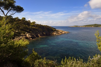 France, Var (83), Iles d'Hyères, parc national de Port Cros, Ile de Port-Cros, crique faisant face à l'Ile de Bagaud qui est une réserve intégrale