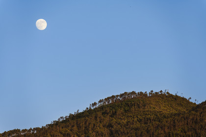 Italy, Liguria, Cinque Terre National Park listed as World Heritage by UNESCO, village of Monterosso al Mare, the moon rises over the mountains
