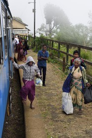 Sri Lanka, Uva Province, the popular scenic train ride through the tea growing hill country between Hatton and Ella, Idalgashinna railway train station
