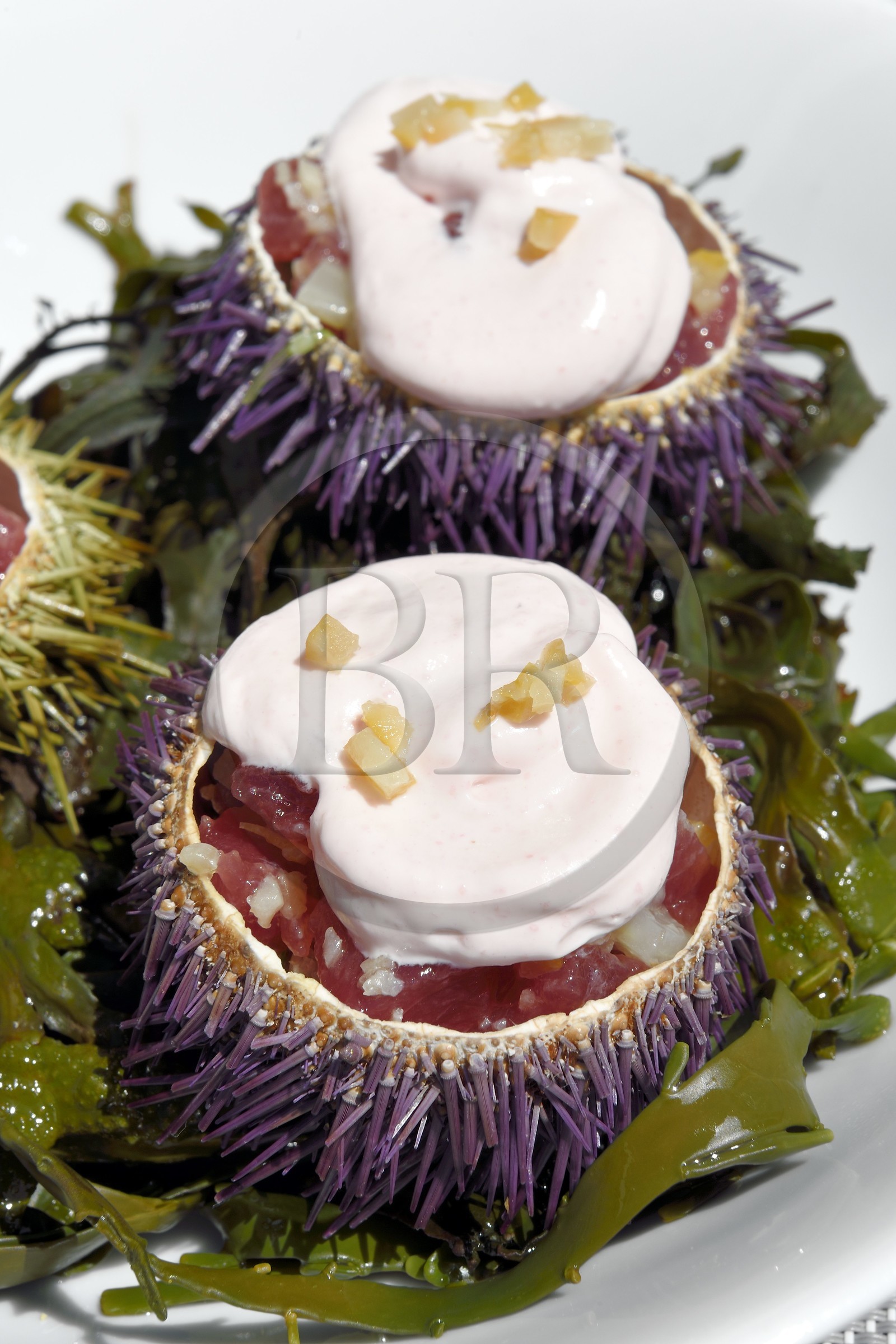 France, Alpes Maritimes, Saint Jean Cap Ferrat, Grand-Hotel du Cap Ferrat, a 5 star palace from Four Seasons Hotel, the chic poolside Club Dauphin, tuna tartare with a tarama emulsion presented in a sea urchin