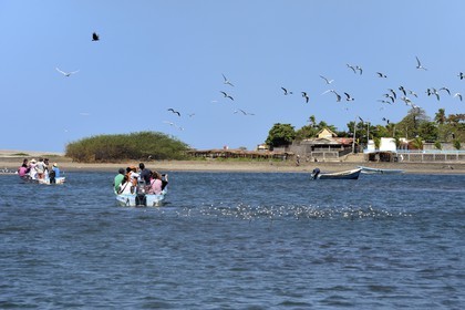 Nicaragua, la côte pacifique de Leon, parc national Isla Juan Venado, plage de Las Penitas, bateau de pêcheurs