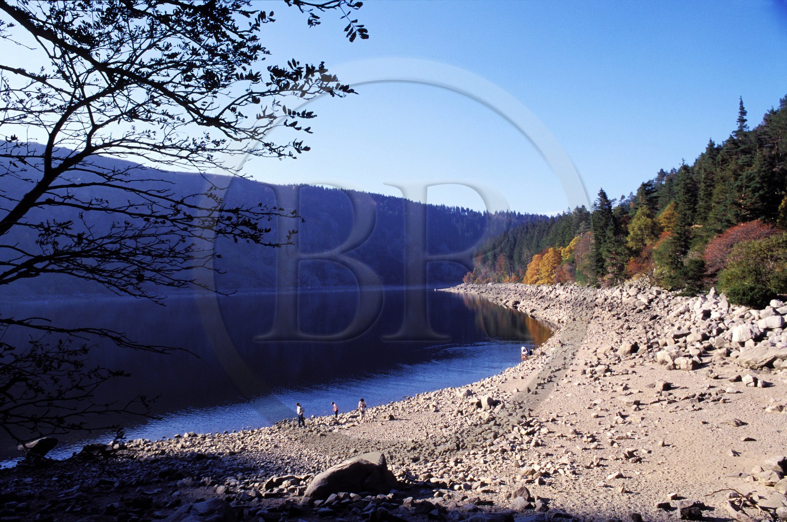 France, Haut-Rhin (68), le lac blanc, massif des Vosges vers le col du Bonhomme