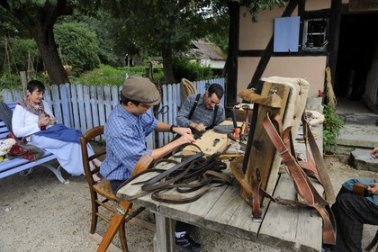 France, Haut-Rhin (68), Ungersheim, écomusée d'Alsace, artisant bourrelier qui s'occupe de l'harnachement