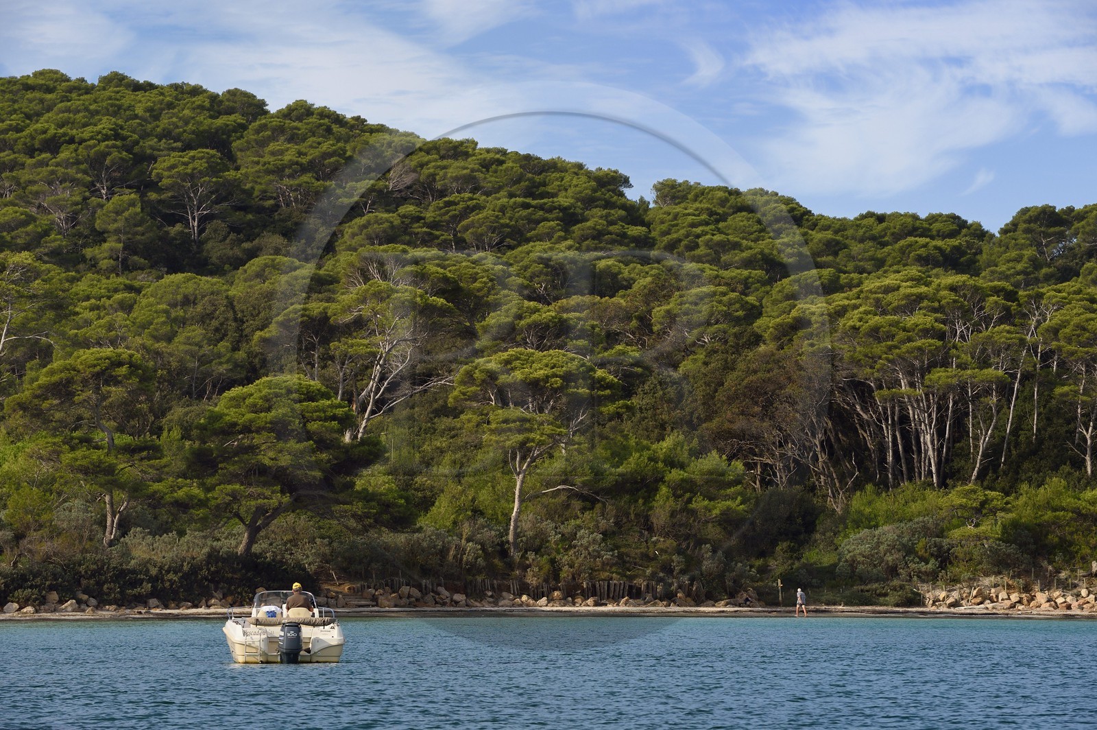 France, Var (83), Iles d'Hyères, parc national de Port Cros, Ile de Porquerolles, la Plage d'Argent