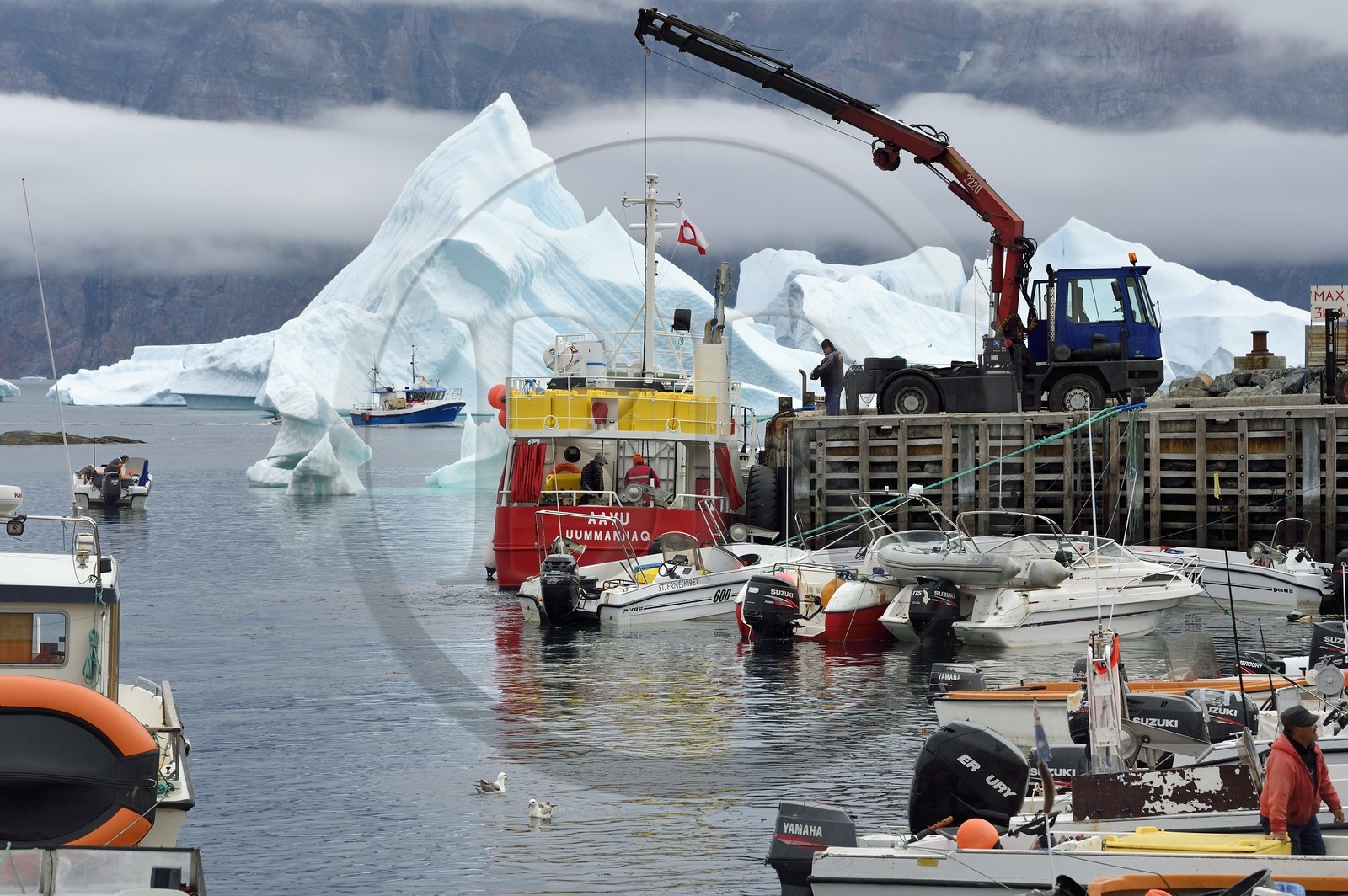 Greenland, west coast, Uummannaq, fishing boat unloading in port and icebergs in the background