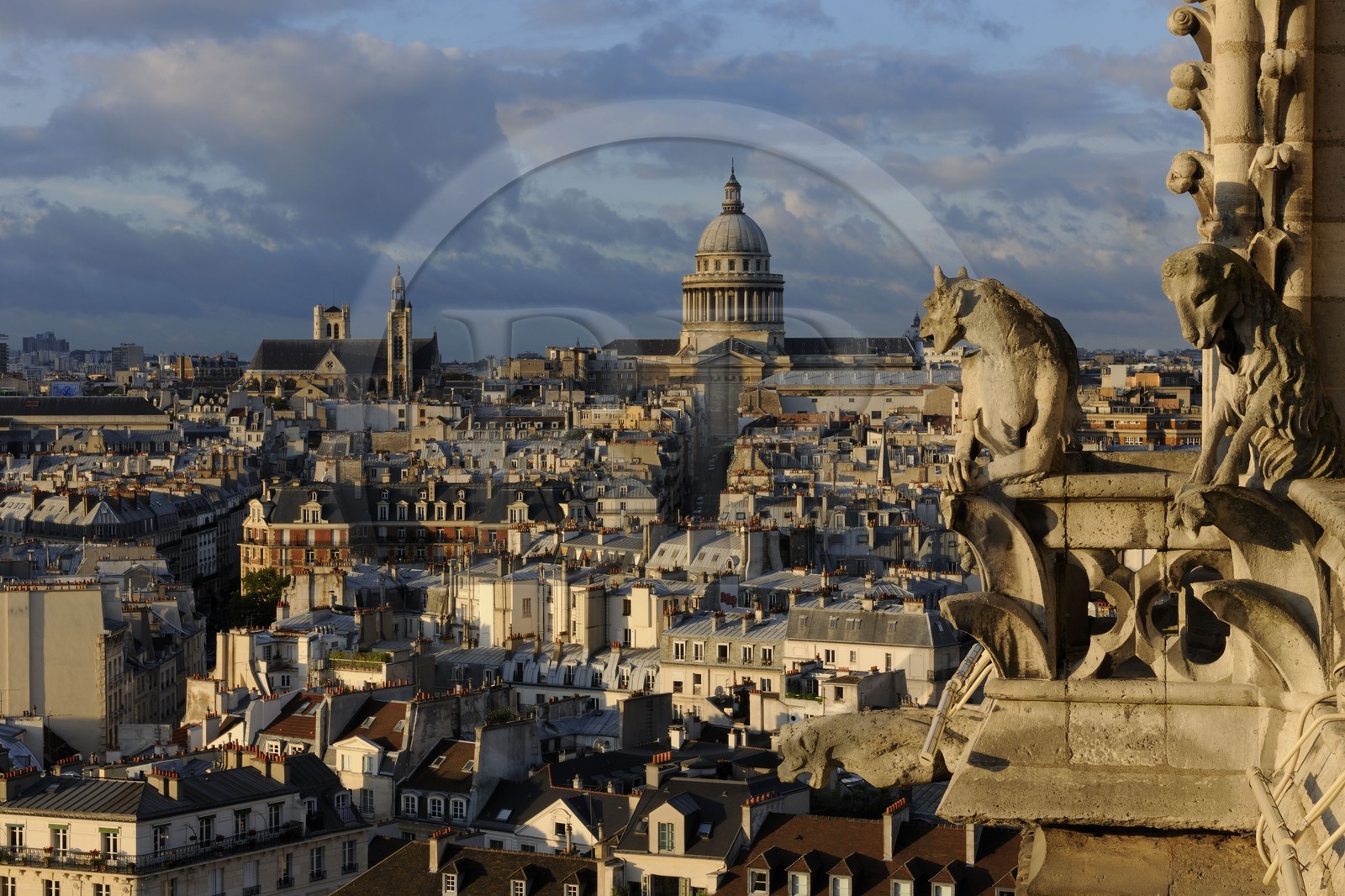 France, Paris (75), île de la Cité, la cathédrale Notre-Dame, une chimère observent le Panthéon