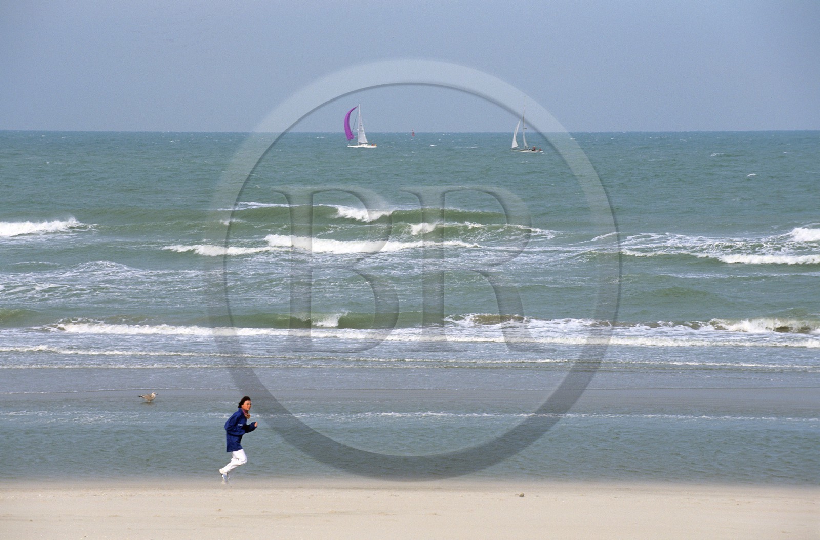 France, Nord (59), Bray-Dunes, réserve naturelle du Westhoek, plage à la frontière franco-belge