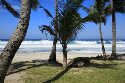 France, île de la Réunion, la côte sud, plage de Grand-Anse