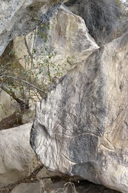 Azerbaijan, Gobustan, Gobustan National Park, Gobustan Rock Art Cultural Landscape, engravings of bulls in the foreground and dancers in the background