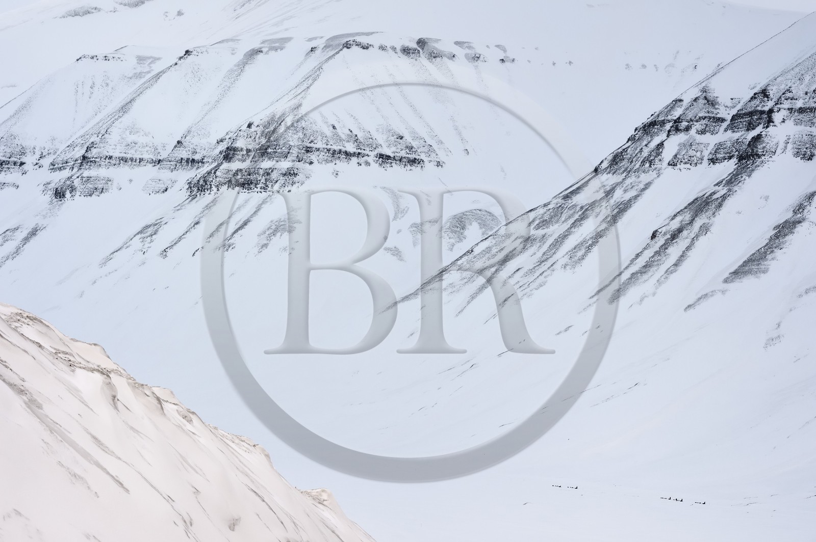 Norvège, Svalbard, Spitzberg, attelages de chiens de traineau dans la vallée de Adventdalen vers Longyearbyen