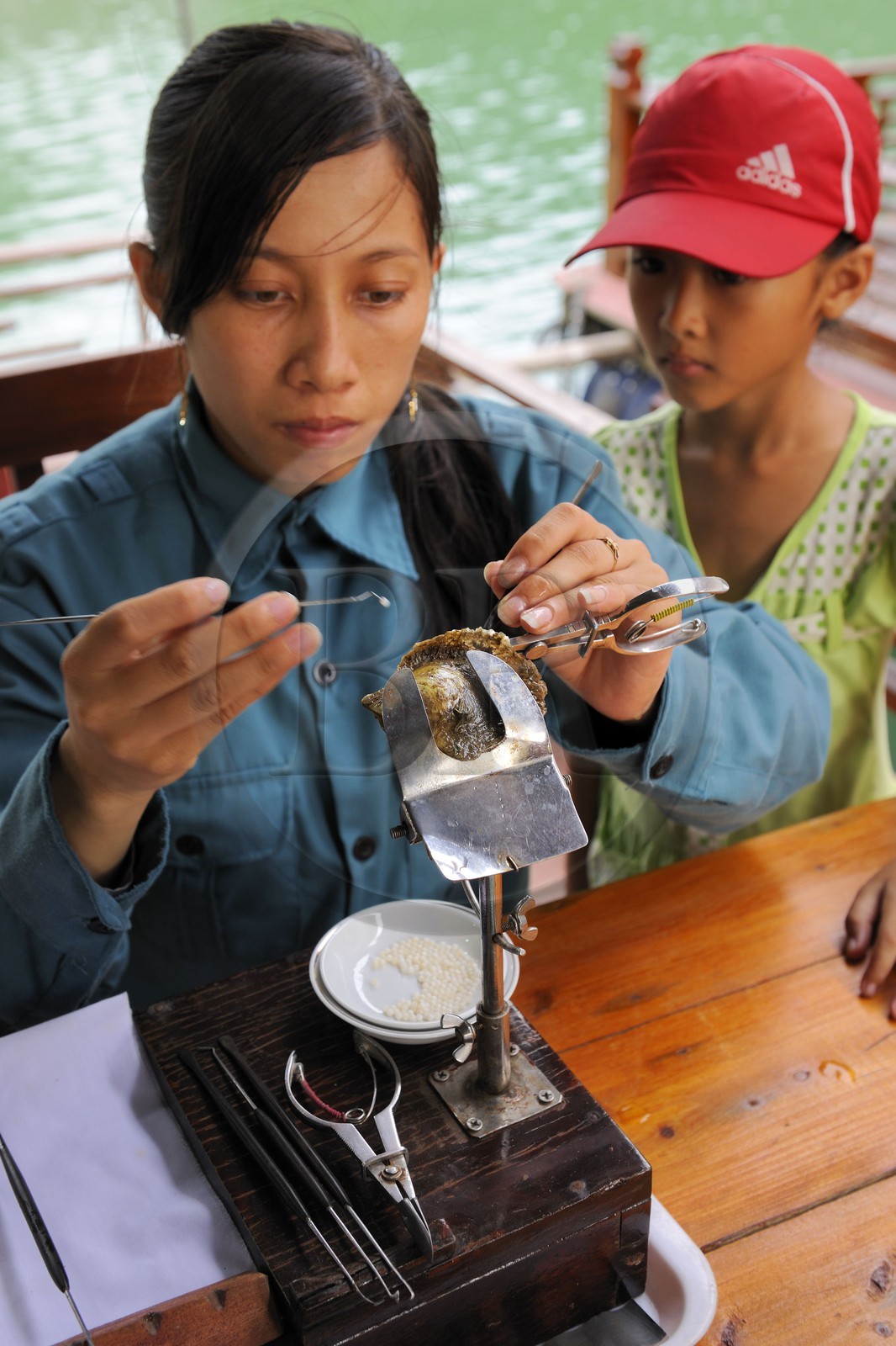 Vietnam, province de Quang Ninh, la Baie d'Halong classée Patrimoine Mondial de l'UNESCO, village flottant de pêcheurs de Vong Vieng, culture d'huitres perlières à la Spica Halong Pearl