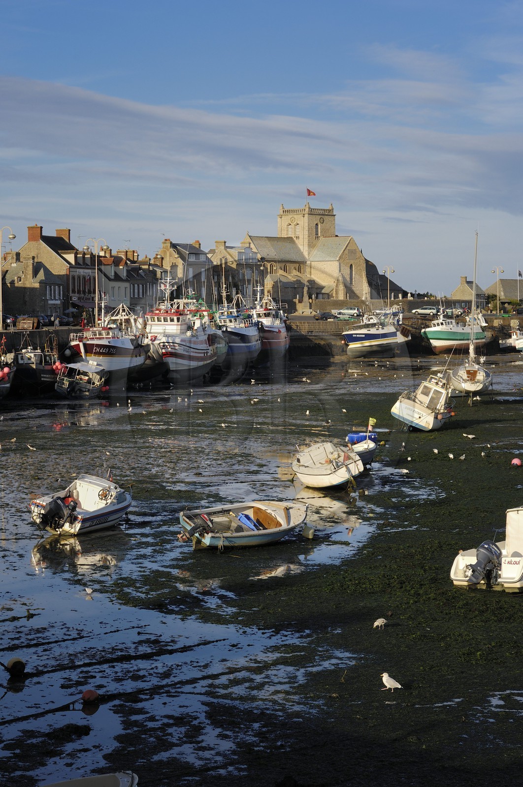 France, Manche, Val de Saire, Barfleur, labelled Les Plus Beaux Villages de France (The Most Beautiful Villages of France), port at low tide