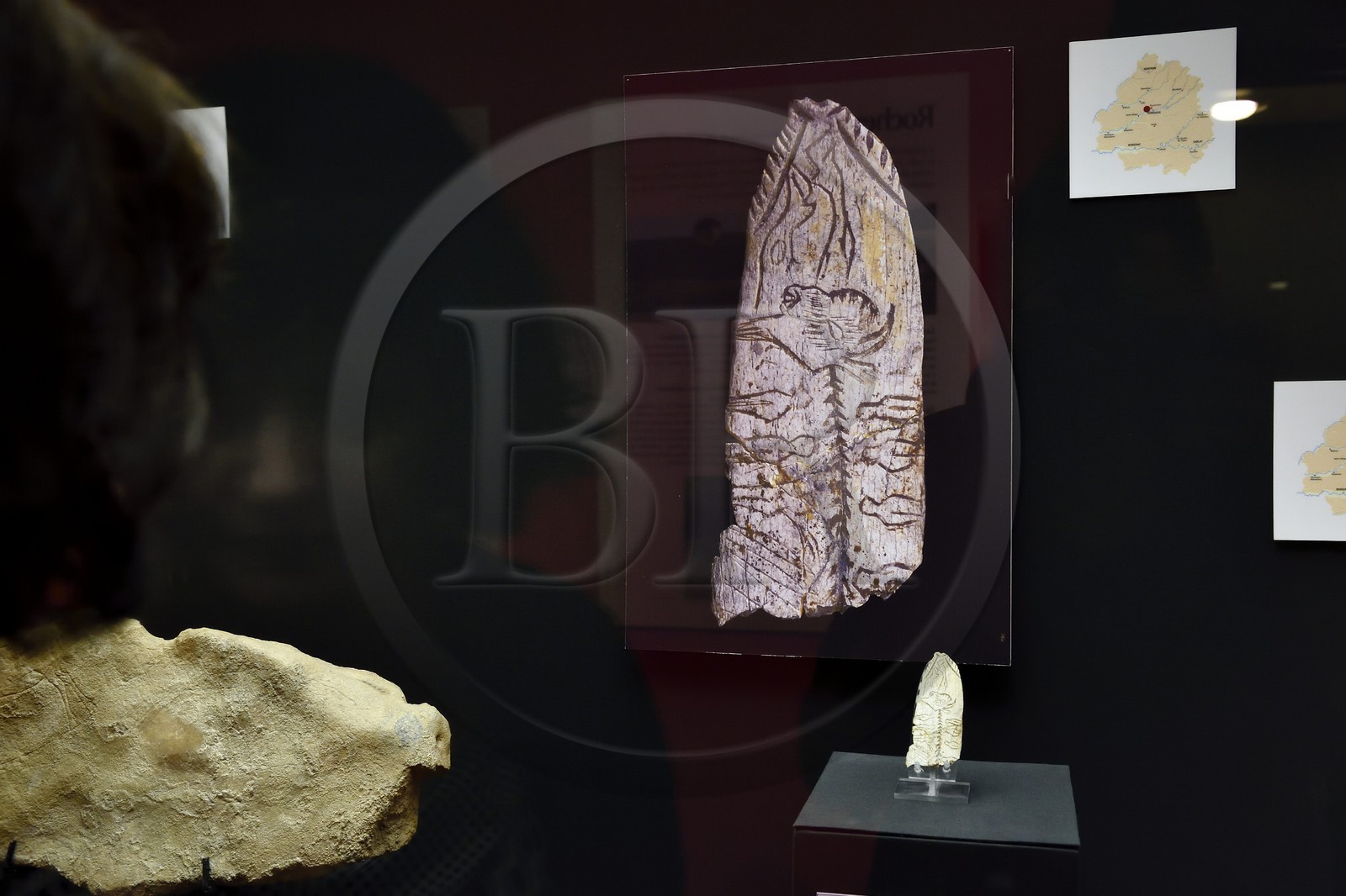 France, Dordogne (24), Périgord Blanc, Périgueux, musée d'art et d'archéologie du Périgord (MAAP), section de Préhistoire, la pendeloque au bison, art mobilier de l'abri de Raymonden (Chancelade)