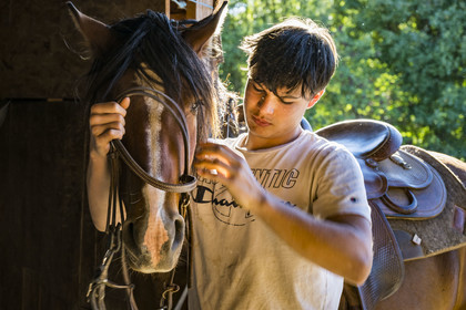 France, Herault, the Causses and the Cevennes, Mediterranean agro pastoral cultural landscape, listed as World Heritage by UNESCO, La Vacquerie et Saint Martin de Castries, the Mas de Cisco ranch, Charlie Amposta prepares his horse for an outing