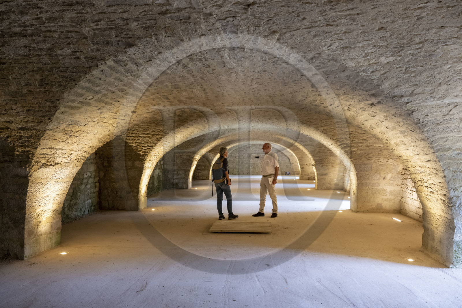France, Côte-d'Or (21), Curtil-Vergy, ruines de l'abbaye Saint-Vivant de Vergy, l’ancien cellier des moines du prieuré clunisien