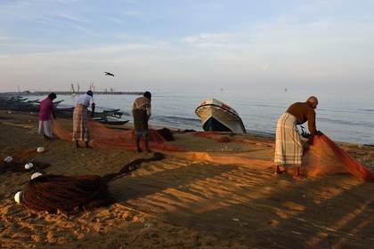 Sri Lanka, Province de l'Ouest, Negombo, pecheurs triant leurs filets sur la plage de Porathota