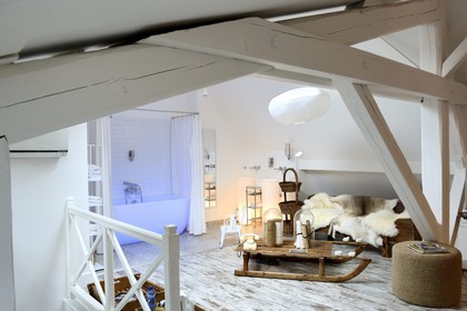 France, Meurthe-et-Moselle, Nancy, guest house Villa 1901, room called The Attic