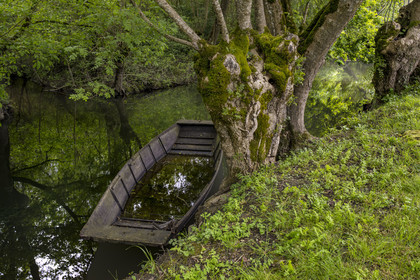 France, Vendée (85), Bouillé-Courdault, barque dans les marais sous les feuillages