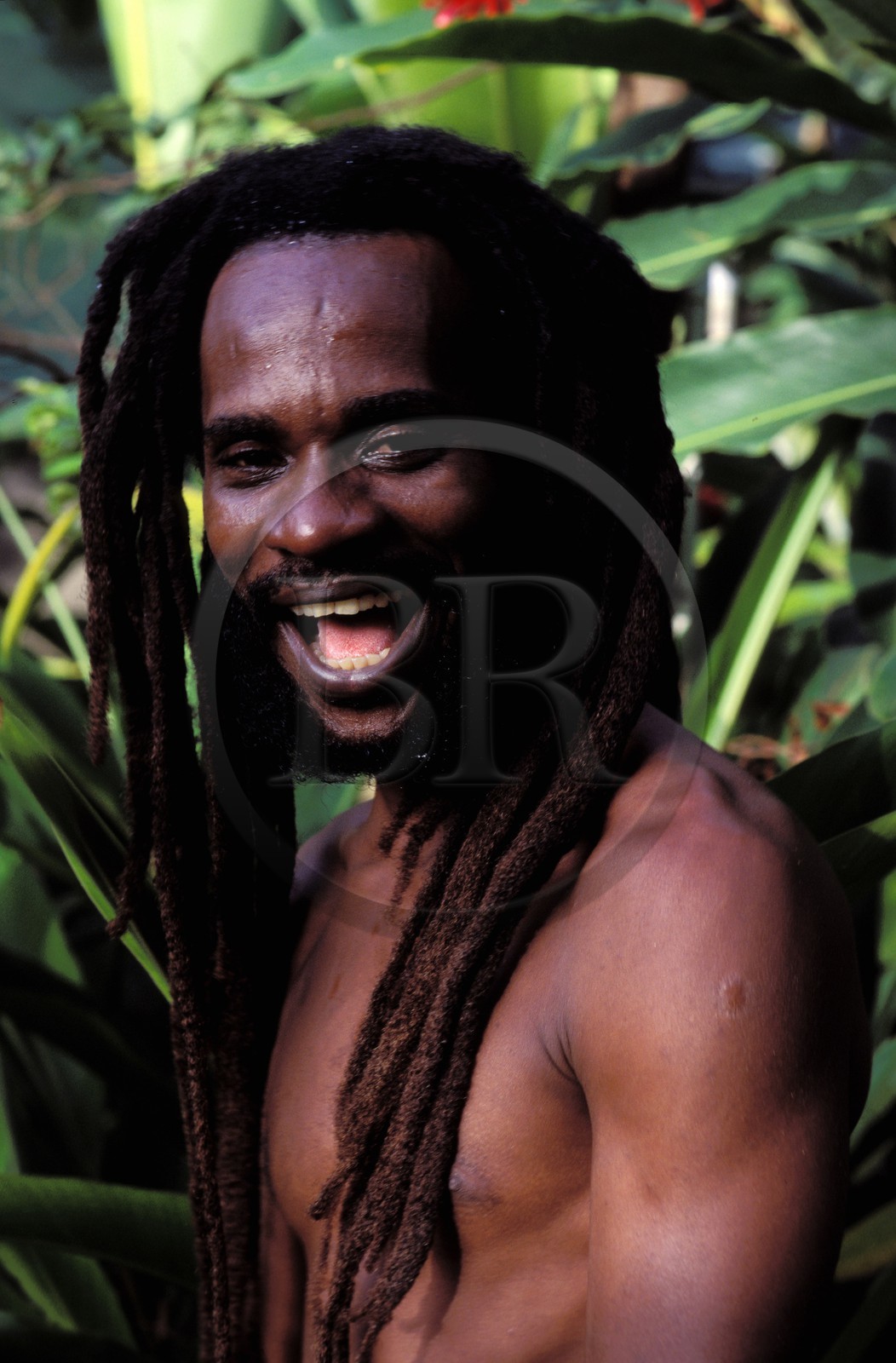 Jamaïque, Chuckey Taylor, musicien rasta et compositeur de reggae