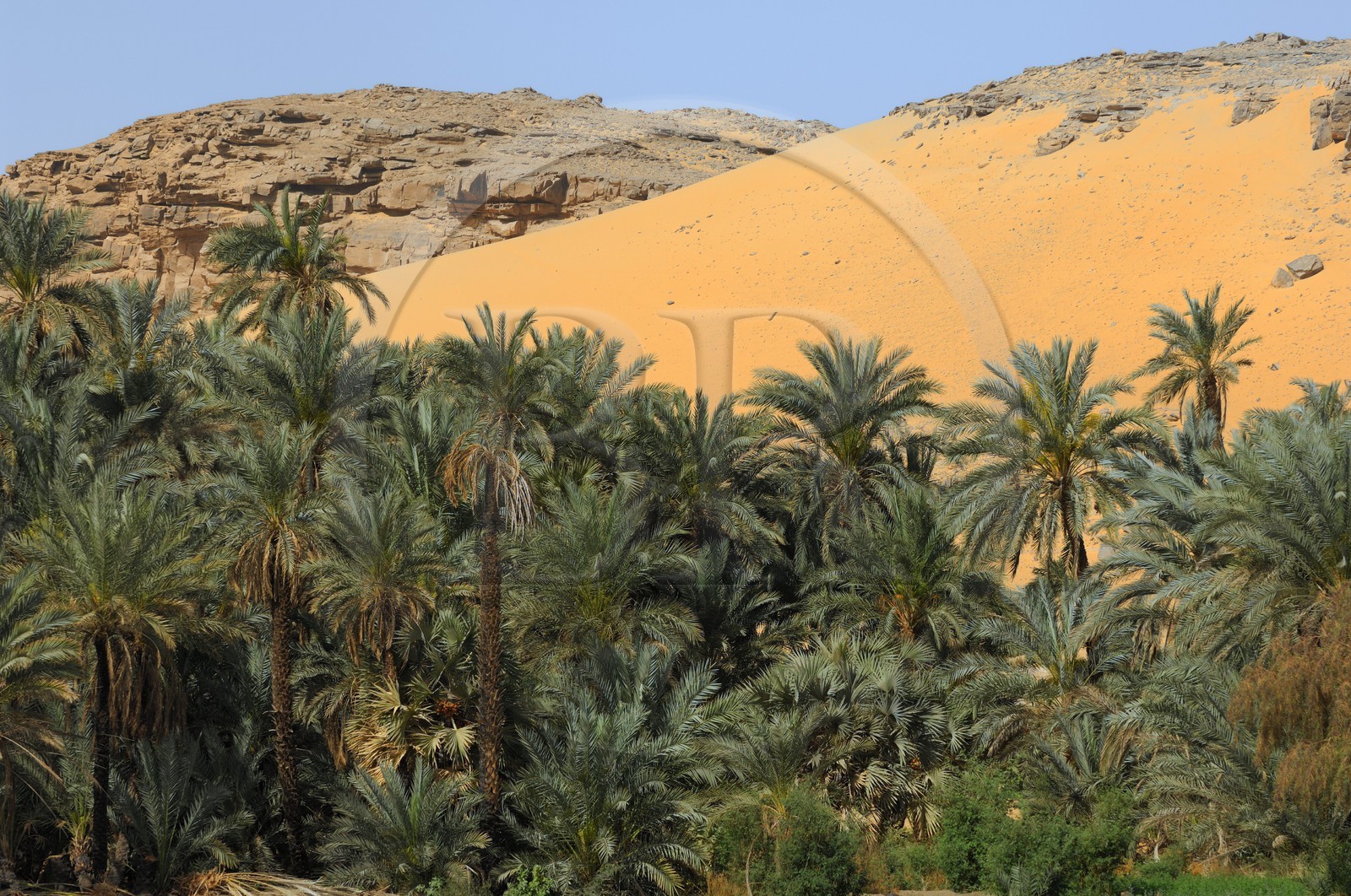 Egypte, Haute Egypte, vallée du Nil, le Nil entre Kom Ombo et Assouan